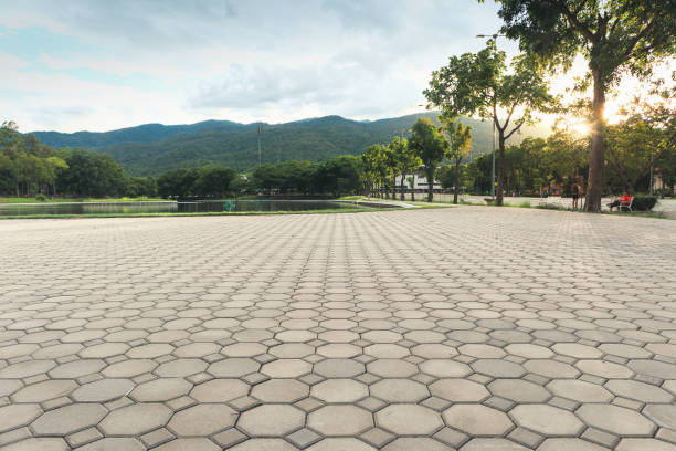 Best Residential Paver Driveway  in St Gabriel, LA
